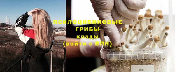 мяу мяу мука Богородск