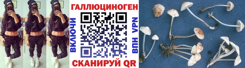 площадка телеграм  Екатеринбург  Галлюциногенные грибы MAGIC MUSHROOMS 